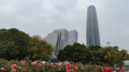 2019年武汉市拟命名“园林式小区”名单公布